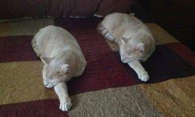 Welcome To The Matrix (40 pics)