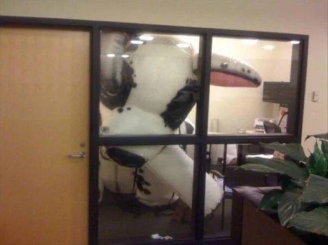 Work Fails And Memes (59 pics)