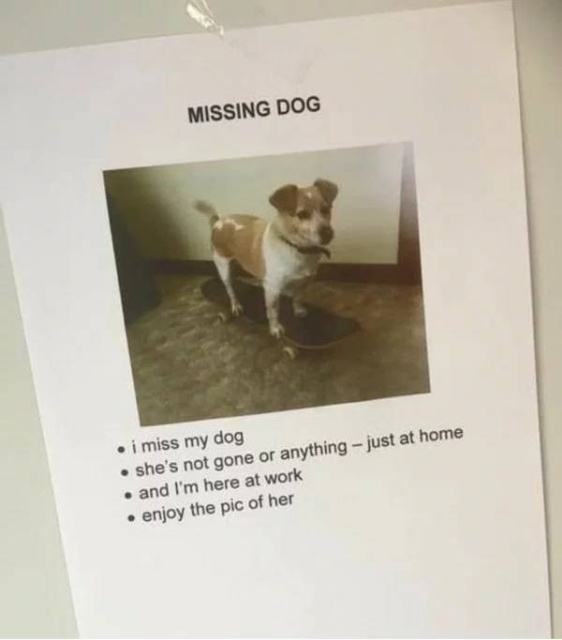Work Fails And Memes (59 pics)