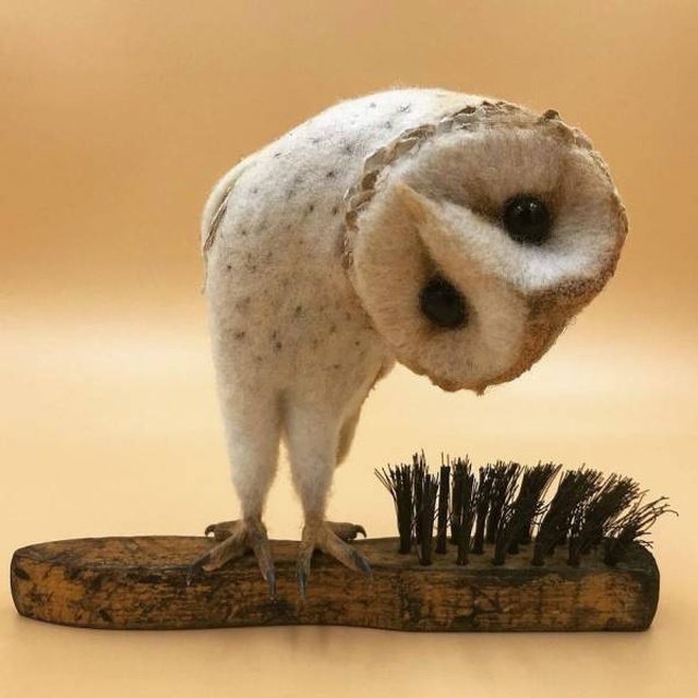 Acid Picdump (94 pics)