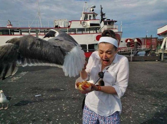 Acid Picdump (94 pics)
