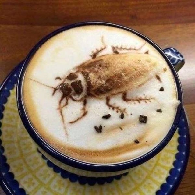 Acid Picdump (94 pics)