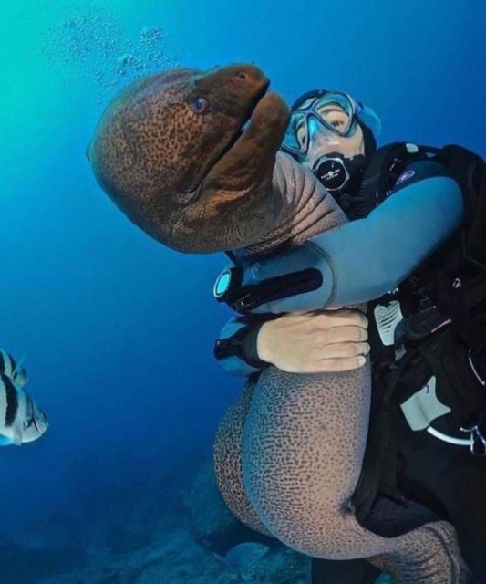 Acid Picdump (94 pics)