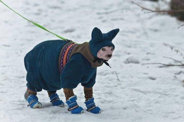 Acid Picdump (94 pics)
