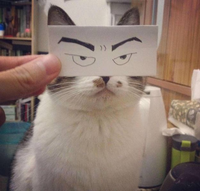 Acid Picdump (94 pics)