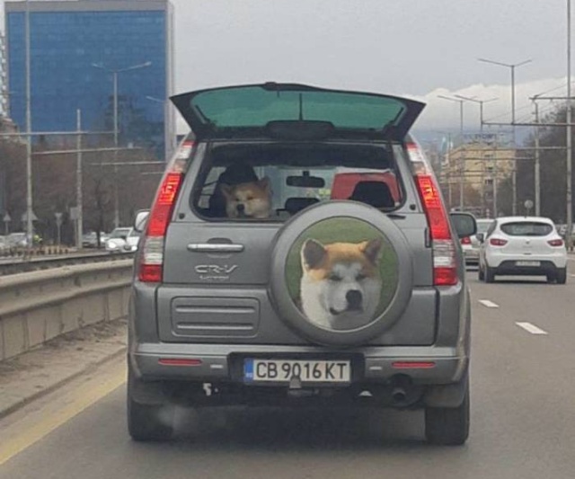 Acid Picdump (94 pics)