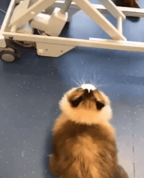 Acid Gifdump, February 8 (25 gifs)