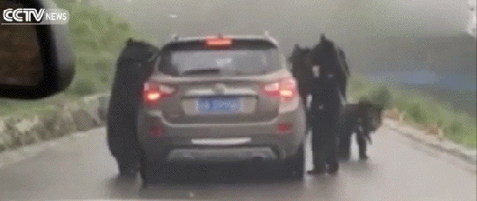 Acid Gifdump, February 8 (25 gifs)