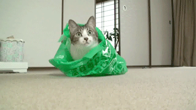 Acid Gifdump, February 8 (25 gifs)