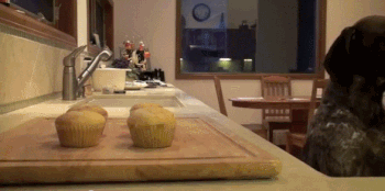 Acid Gifdump, February 8 (25 gifs)