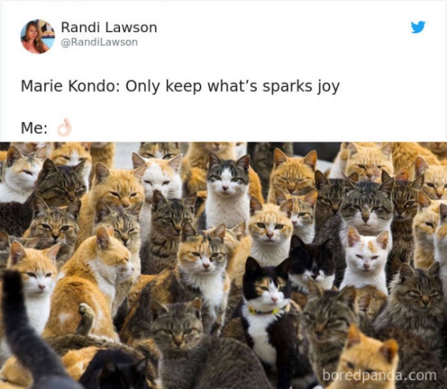 Marie Kondo Memes (57 pics)