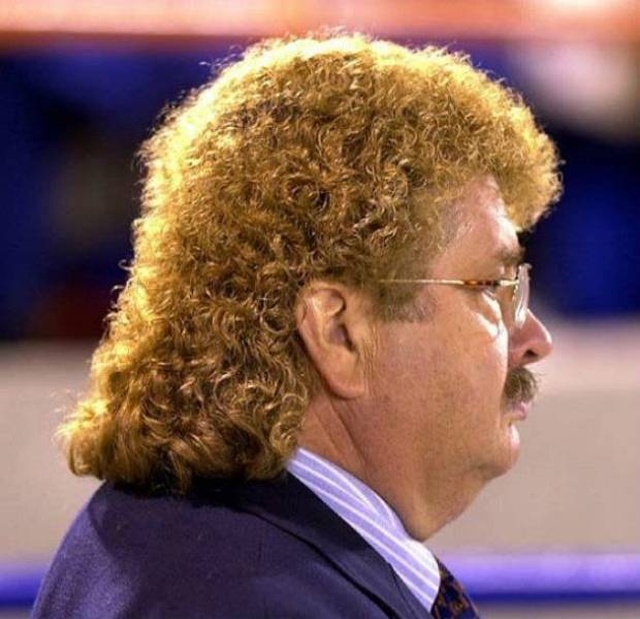 Funny Mullets (24 pics)