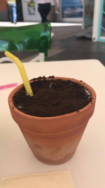 When Normal Dishes Are Too Mainstream (33 pics)