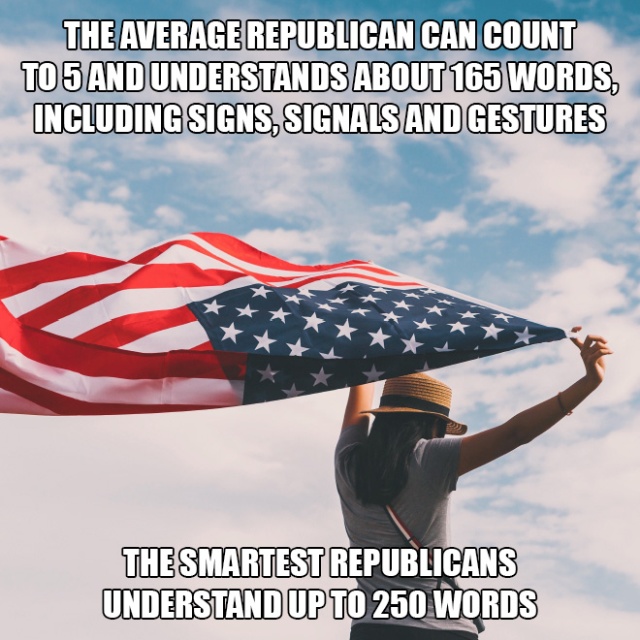 Interesting Facts (19 pics)
