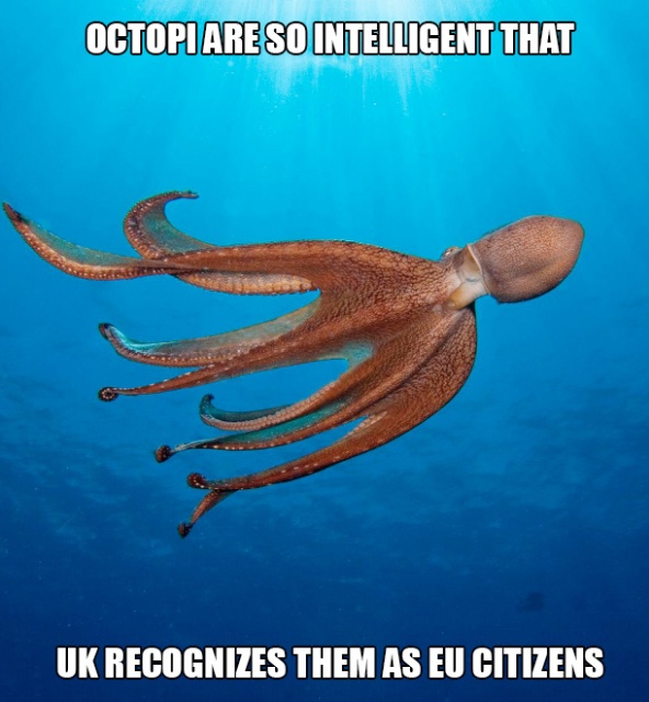 Interesting Facts (19 pics)