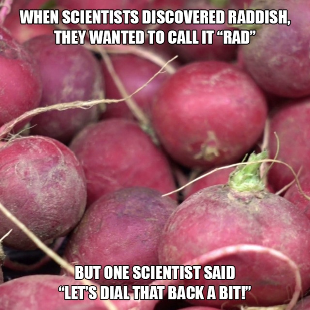 Interesting Facts (19 pics)