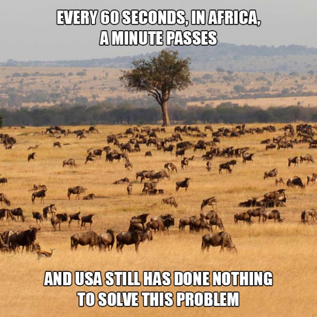 Interesting Facts (19 pics)