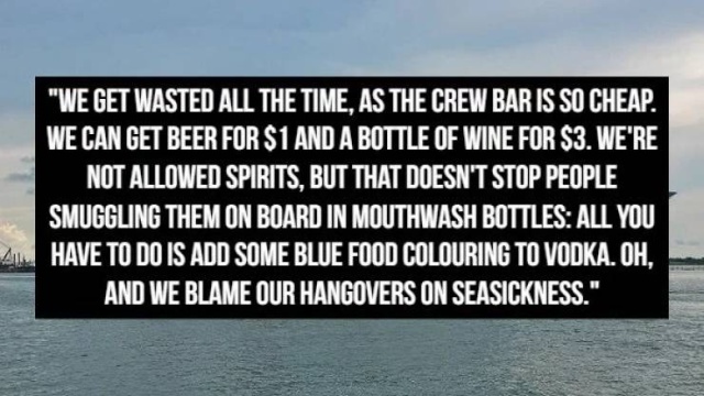 Confessions From A Cruise Ship Worker (15 pics)