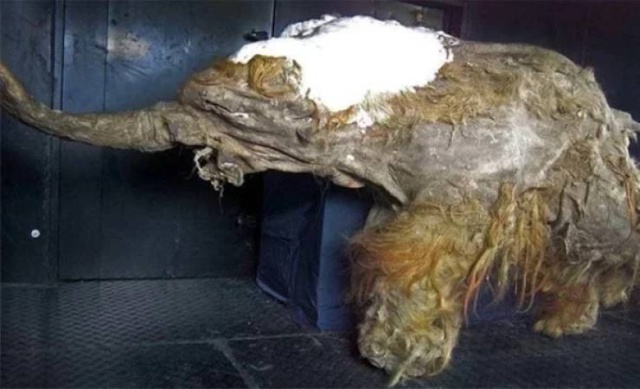 Kind Of Scary (24 pics)
