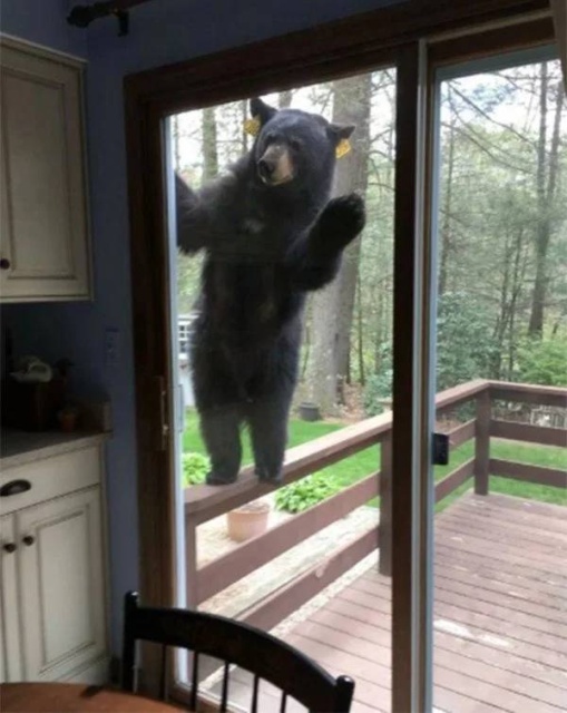 Kind Of Scary (24 pics)
