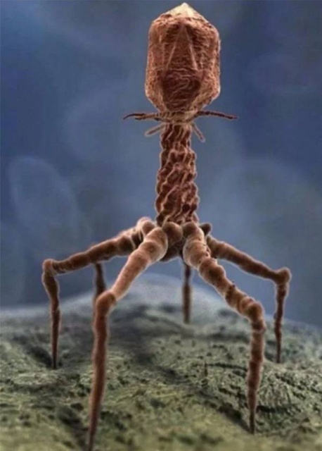Kind Of Scary (24 pics)