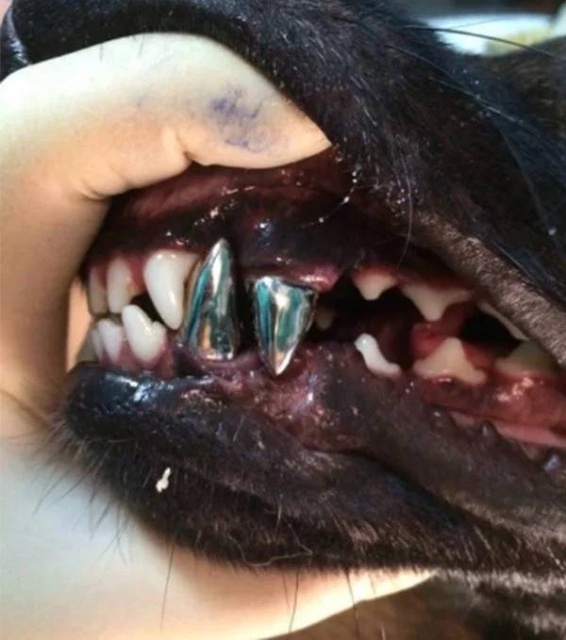 Kind Of Scary (24 pics)