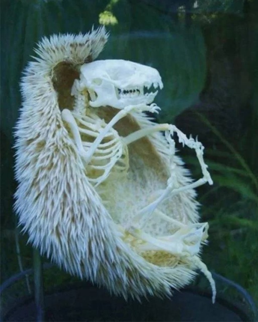 Kind Of Scary (24 pics)