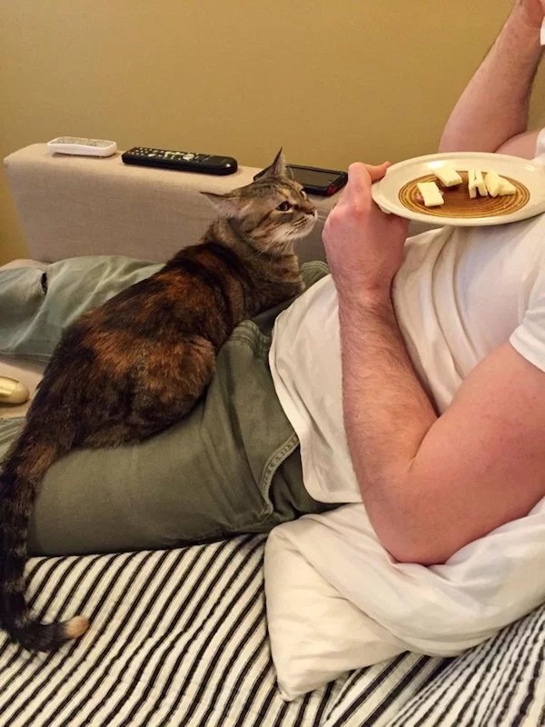 Pets Love Human Food (32 pics)