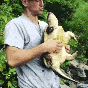 You Will Regret It (15 gifs)