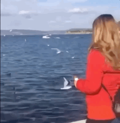 You Will Regret It (15 gifs)