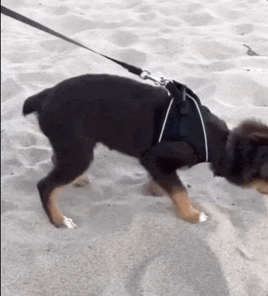 You Will Regret It (15 gifs)