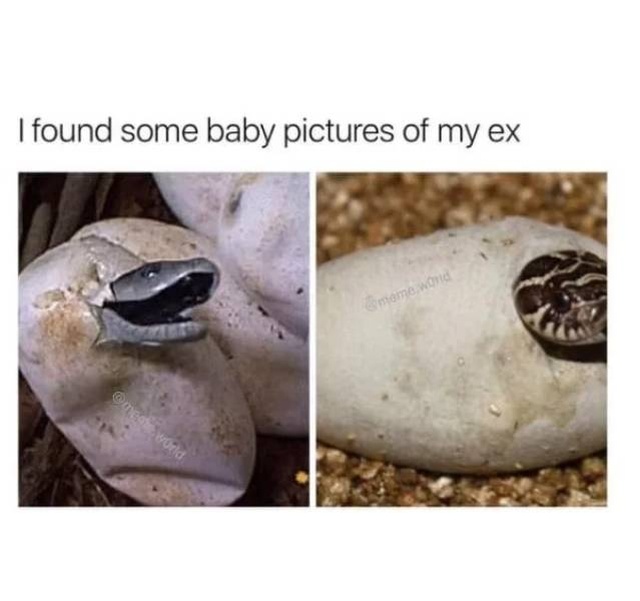 Memes About Ex (37 pics)