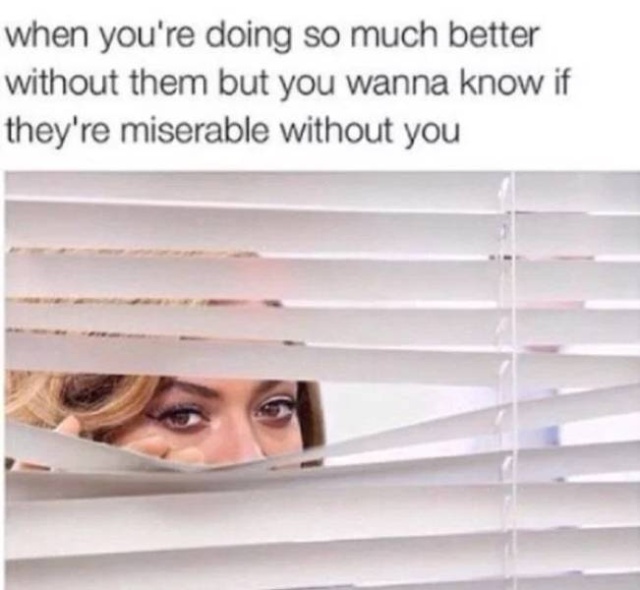 Memes About Ex (37 pics)