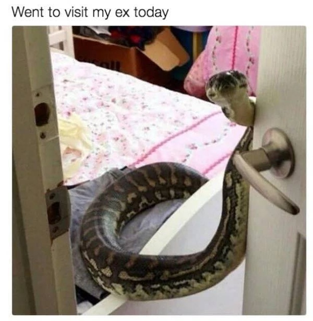 Memes About Ex (37 pics)