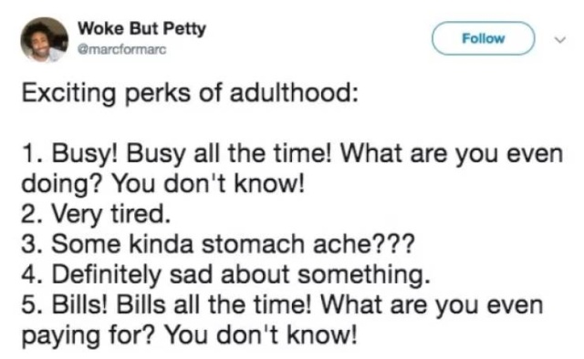 Being Adult Sucks 30 Pics