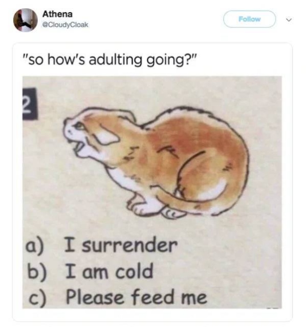 Being Adult Sucks (30 pics)