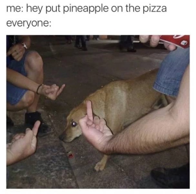 Pizza Memes (28 pics)