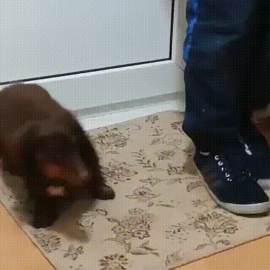 Acid Gifdump, February 12 (25 gifs)