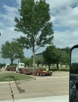 Acid Gifdump, February 12 (25 gifs)