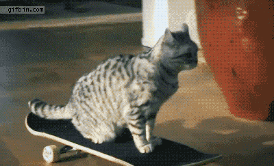 Acid Gifdump, February 12 (25 gifs)