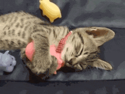Acid Gifdump, February 12 (25 gifs)