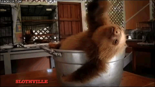 Acid Gifdump, February 12 (25 gifs)