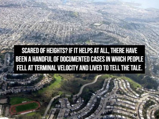These Facts Are Scary (16 pics)