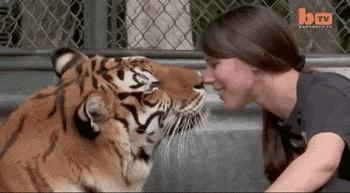 Girls Got Talent (19 gifs)
