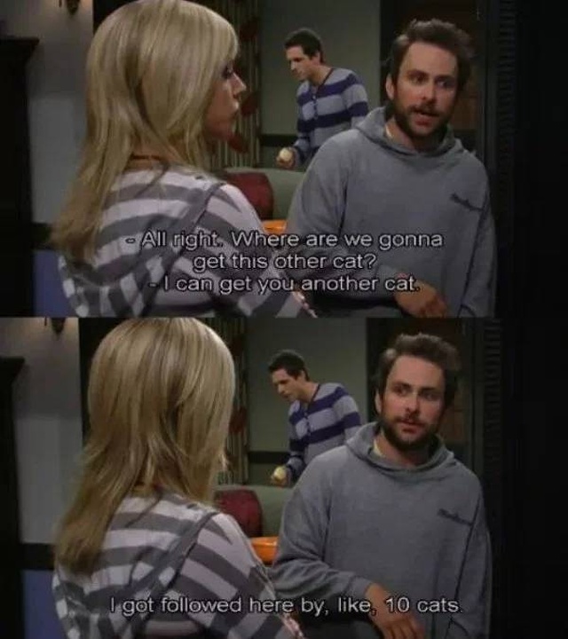 “It’s Always Sunny” Wherever These Scenes Are (27 pics)