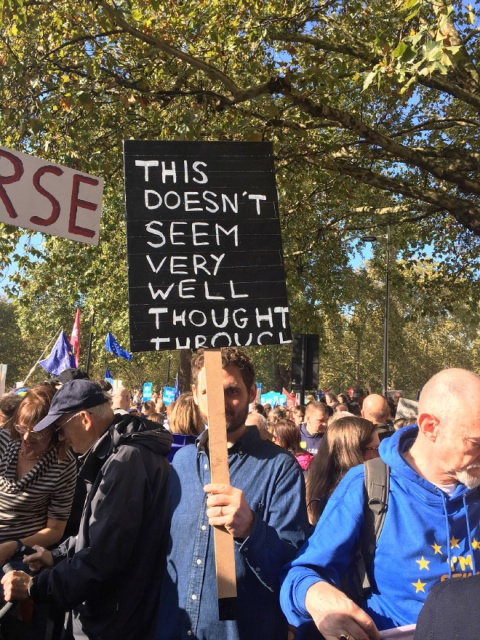 Hilariously Polite Protest Signs (15 pics)