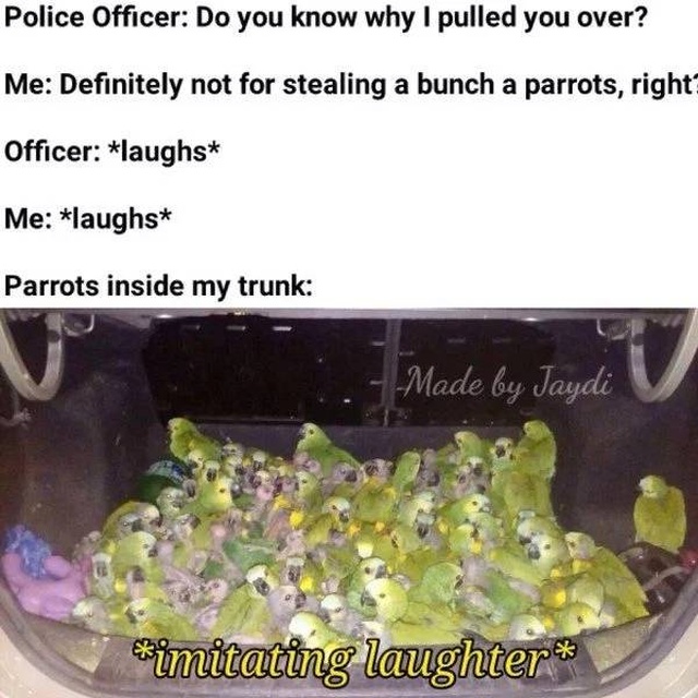 Those Are Funny (48 pics)