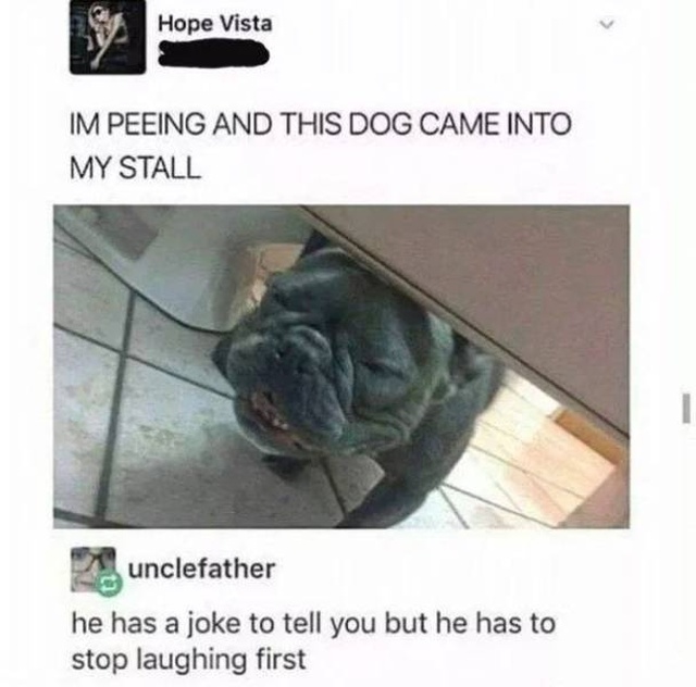 Those Are Funny (48 pics)