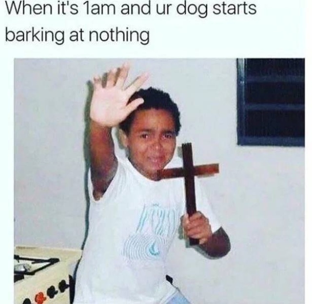 Those Are Funny (48 pics)
