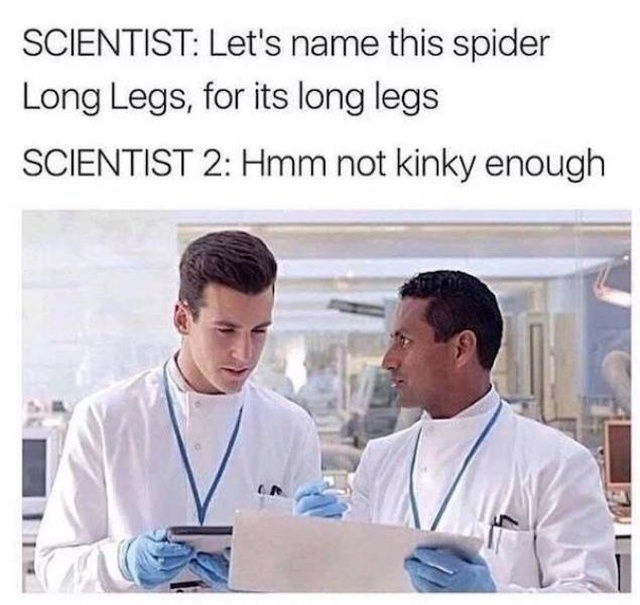 Those Are Funny (48 pics)
